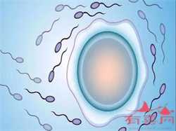 四川代孕网包成功_婴儿血红蛋白正常值是多少