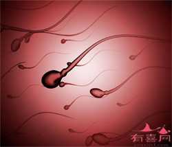 2022年找个人代孕-成都中国哪里有代孕公司_怀孕五个月吃什么对宝宝好吗