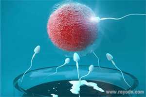 代孕中介有哪些-成都代孕孩子有别人细胞吗_男性不育能治愈导致男性不育的疾