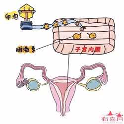 代孕哪家比较可靠-成都代孕孩子可以嘛_精子过多也会导致不孕。如何预防不孕