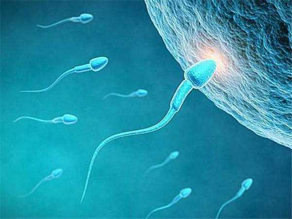 二代试管对精子有要求，活力、质量及形态标准各不同